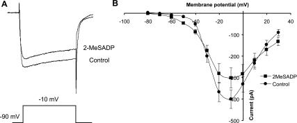 https://cdn.ncbi.nlm.nih.gov/pmc/blobs/c793/3289470/d512428ba303/z9k0031211910006.jpg