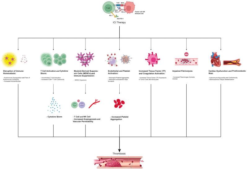 https://cdn.ncbi.nlm.nih.gov/pmc/blobs/c795/12112099/983ec27db882/jcm-14-03451-g001.jpg