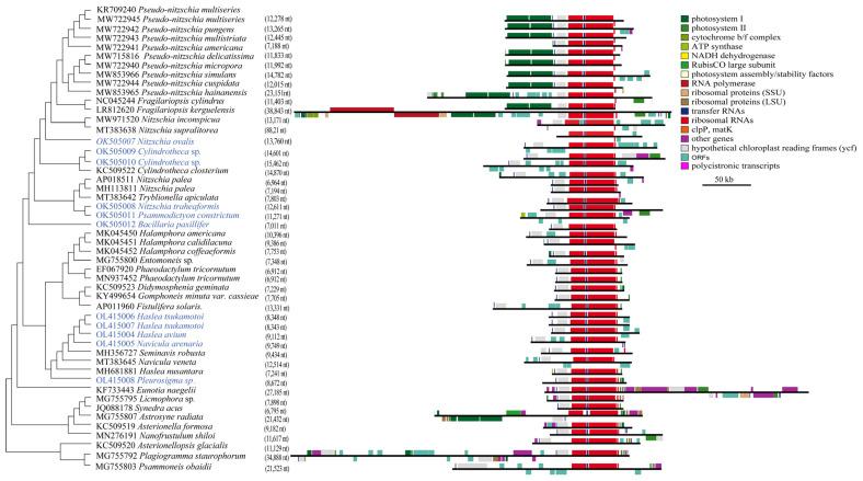 https://cdn.ncbi.nlm.nih.gov/pmc/blobs/c795/9408514/0c6a20e764e2/ijerph-19-10024-g004.jpg