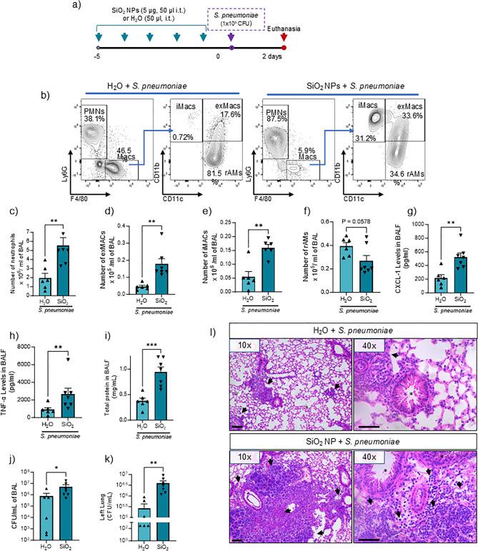 https://cdn.ncbi.nlm.nih.gov/pmc/blobs/c797/11845501/95ac47163731/41598_2025_89700_Fig5_HTML.jpg