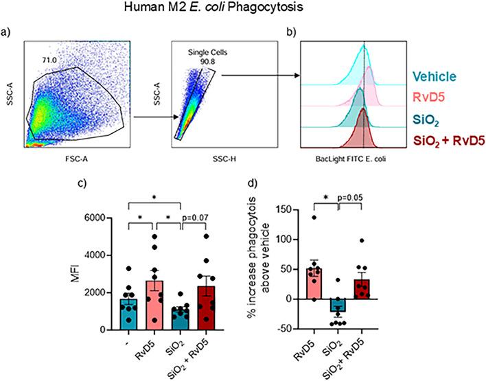 https://cdn.ncbi.nlm.nih.gov/pmc/blobs/c797/11845501/cf50d6a1d615/41598_2025_89700_Fig4_HTML.jpg