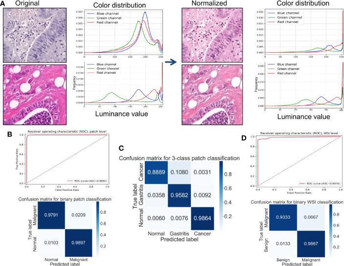 https://cdn.ncbi.nlm.nih.gov/pmc/blobs/c798/7562716/4d33ba1142db/fphar-11-572372-g001.jpg