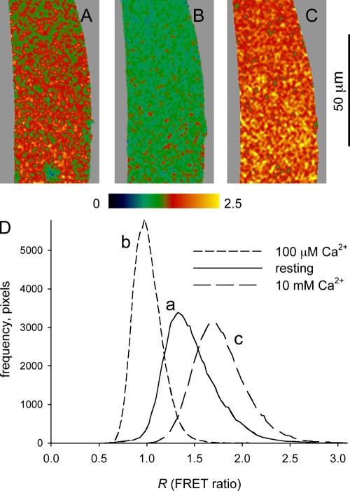 https://cdn.ncbi.nlm.nih.gov/pmc/blobs/c799/3149433/53a2bafe0417/JGP_201010591_RGB_Fig5.jpg