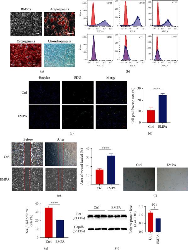 https://cdn.ncbi.nlm.nih.gov/pmc/blobs/c799/9966826/2110018efd58/OMCL2023-7747727.001.jpg