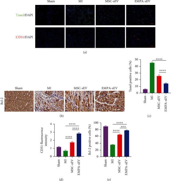 https://cdn.ncbi.nlm.nih.gov/pmc/blobs/c799/9966826/262c9a4612ef/OMCL2023-7747727.006.jpg