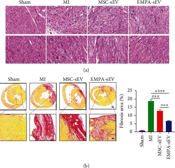 https://cdn.ncbi.nlm.nih.gov/pmc/blobs/c799/9966826/6ae011206d31/OMCL2023-7747727.005.jpg