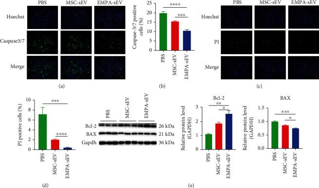 https://cdn.ncbi.nlm.nih.gov/pmc/blobs/c799/9966826/70d7e9bf0303/OMCL2023-7747727.003.jpg