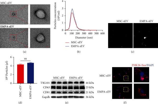 https://cdn.ncbi.nlm.nih.gov/pmc/blobs/c799/9966826/78279ca376b7/OMCL2023-7747727.002.jpg