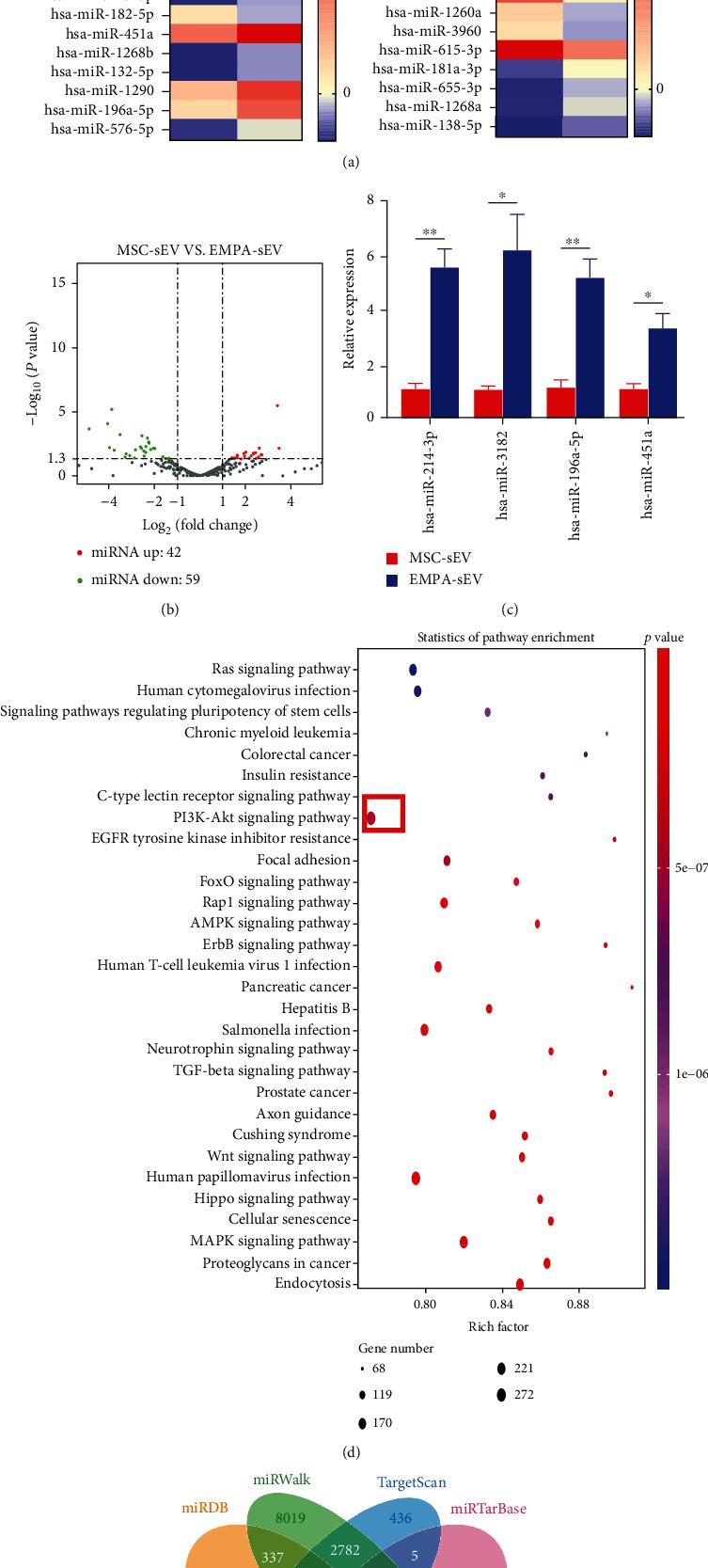 https://cdn.ncbi.nlm.nih.gov/pmc/blobs/c799/9966826/86e492b4038d/OMCL2023-7747727.007.jpg
