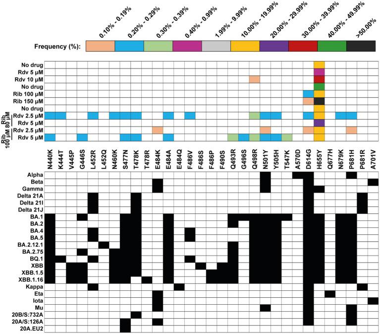 https://cdn.ncbi.nlm.nih.gov/pmc/blobs/c79a/10979541/0e1fd1a699fe/fmicb-15-1358258-g003.jpg
