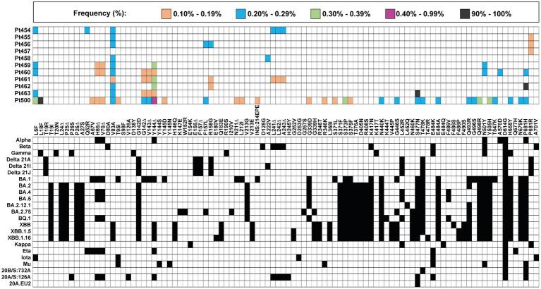 https://cdn.ncbi.nlm.nih.gov/pmc/blobs/c79a/10979541/a93cc97e3232/fmicb-15-1358258-g002.jpg