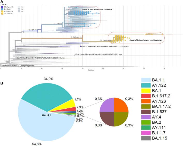 https://cdn.ncbi.nlm.nih.gov/pmc/blobs/c79c/9479076/9d293dec4f71/fgene-13-906318-g002.jpg