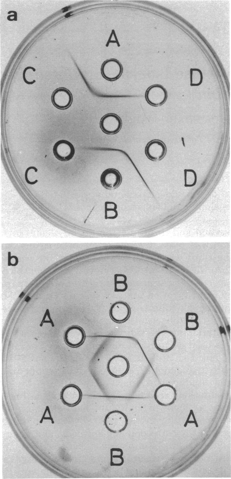 https://cdn.ncbi.nlm.nih.gov/pmc/blobs/c79e/216916/fd2734c38d81/jbacter00279-0340-a.jpg
