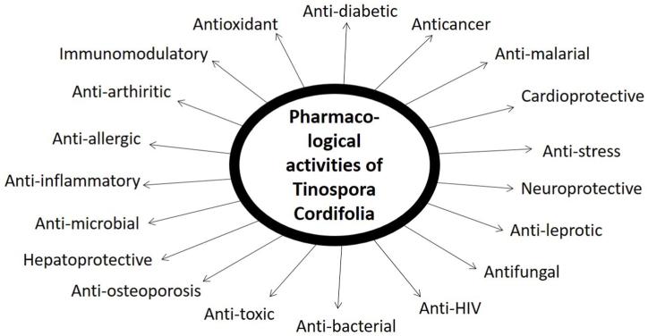 https://cdn.ncbi.nlm.nih.gov/pmc/blobs/c79f/10882059/6d280e22efe9/gr2.jpg