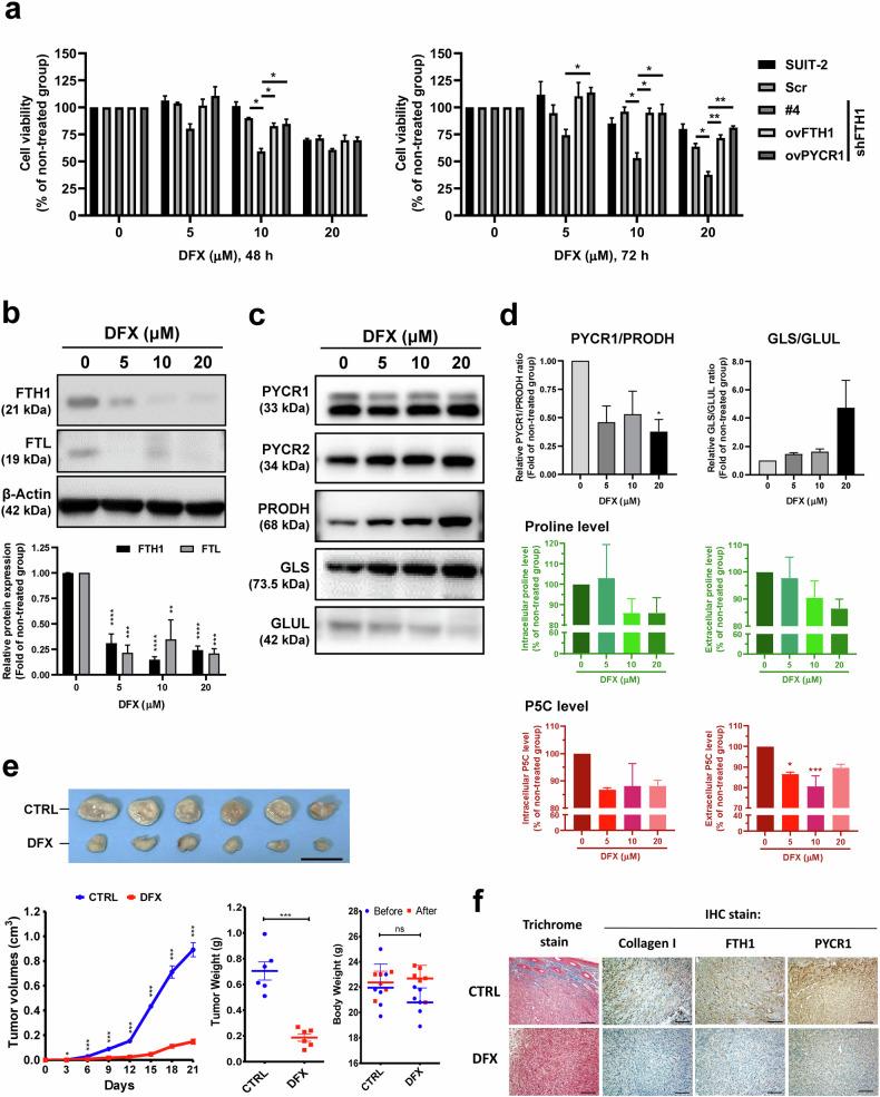 https://cdn.ncbi.nlm.nih.gov/pmc/blobs/c79f/11447051/5e77258ac948/12276_2024_1300_Fig8_HTML.jpg