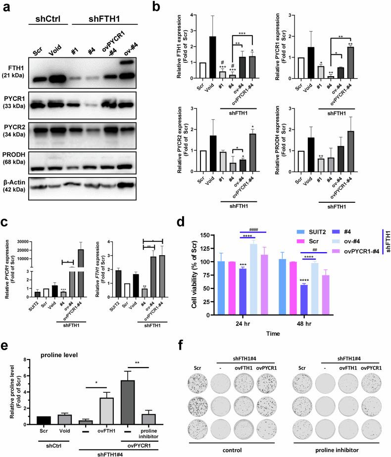 https://cdn.ncbi.nlm.nih.gov/pmc/blobs/c79f/11447051/8fb9f54125c4/12276_2024_1300_Fig5_HTML.jpg