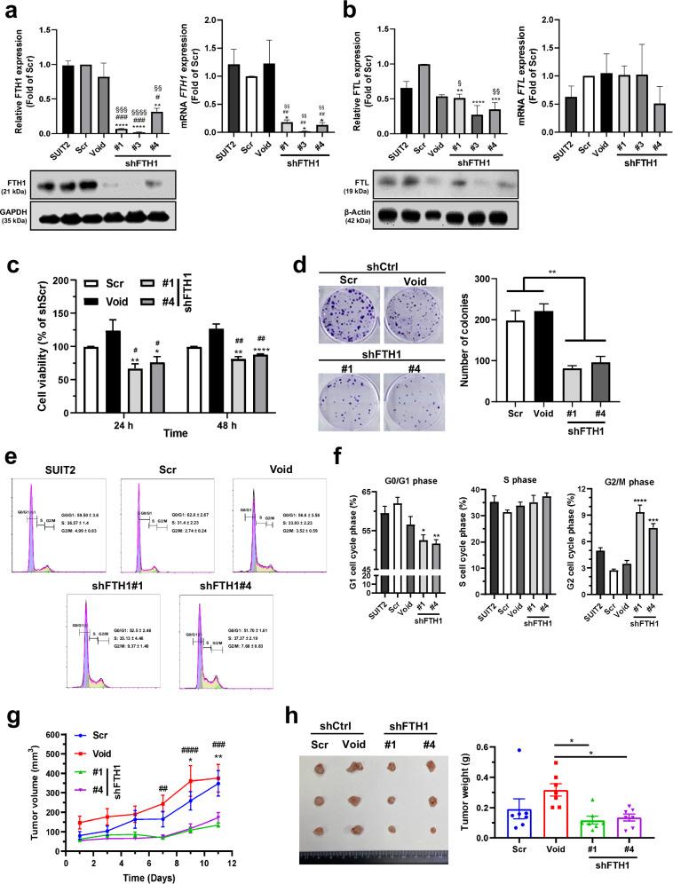 https://cdn.ncbi.nlm.nih.gov/pmc/blobs/c79f/11447051/e1a56aaa39f6/12276_2024_1300_Fig3_HTML.jpg