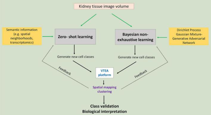 https://cdn.ncbi.nlm.nih.gov/pmc/blobs/c79f/8931540/6f8d10e38754/fphys-13-832457-g003.jpg