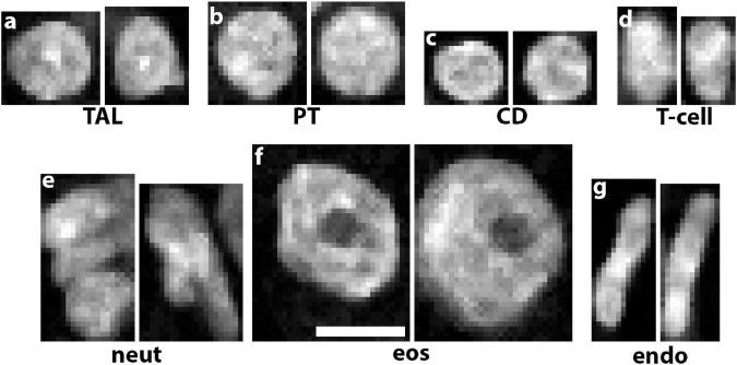 https://cdn.ncbi.nlm.nih.gov/pmc/blobs/c79f/8931540/98115d71e905/fphys-13-832457-g002.jpg