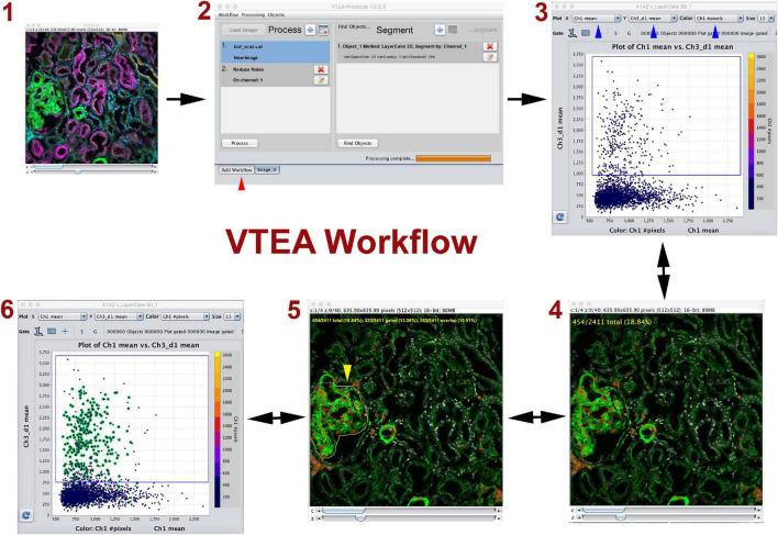 https://cdn.ncbi.nlm.nih.gov/pmc/blobs/c79f/8931540/a2898c92b958/fphys-13-832457-g001.jpg