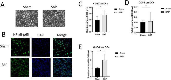 https://cdn.ncbi.nlm.nih.gov/pmc/blobs/c7a0/11211668/f06597588472/JCLA-38-e25076-g006.jpg