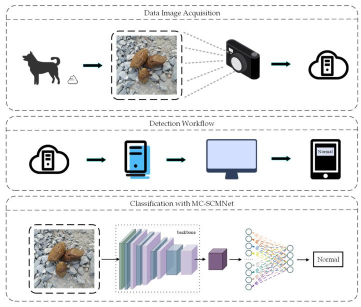 https://cdn.ncbi.nlm.nih.gov/pmc/blobs/c7a2/10215312/2eb7dc21bb79/animals-13-01660-g010.jpg