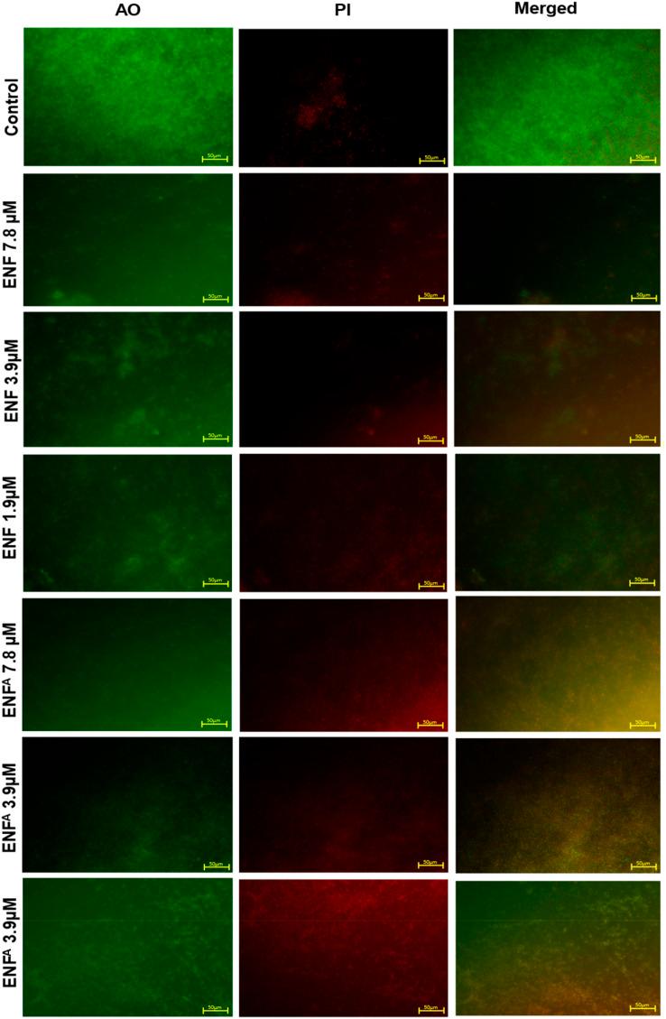 https://cdn.ncbi.nlm.nih.gov/pmc/blobs/c7a2/12015936/1a3e10307fd8/d5ra01722j-f7.jpg