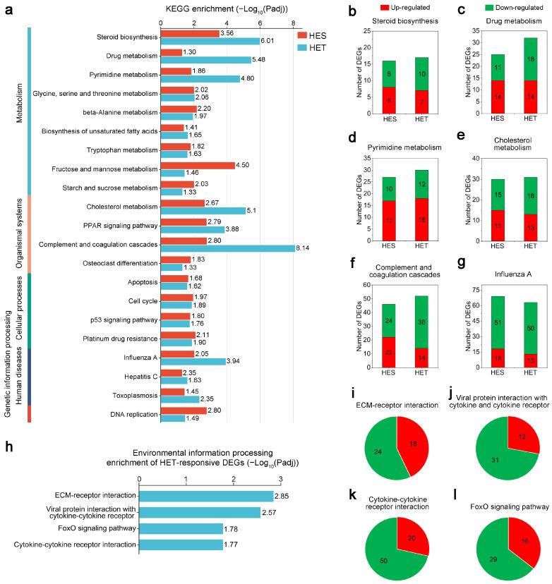 https://cdn.ncbi.nlm.nih.gov/pmc/blobs/c7a4/10671503/d9b8add823bf/genes-14-02096-g005.jpg