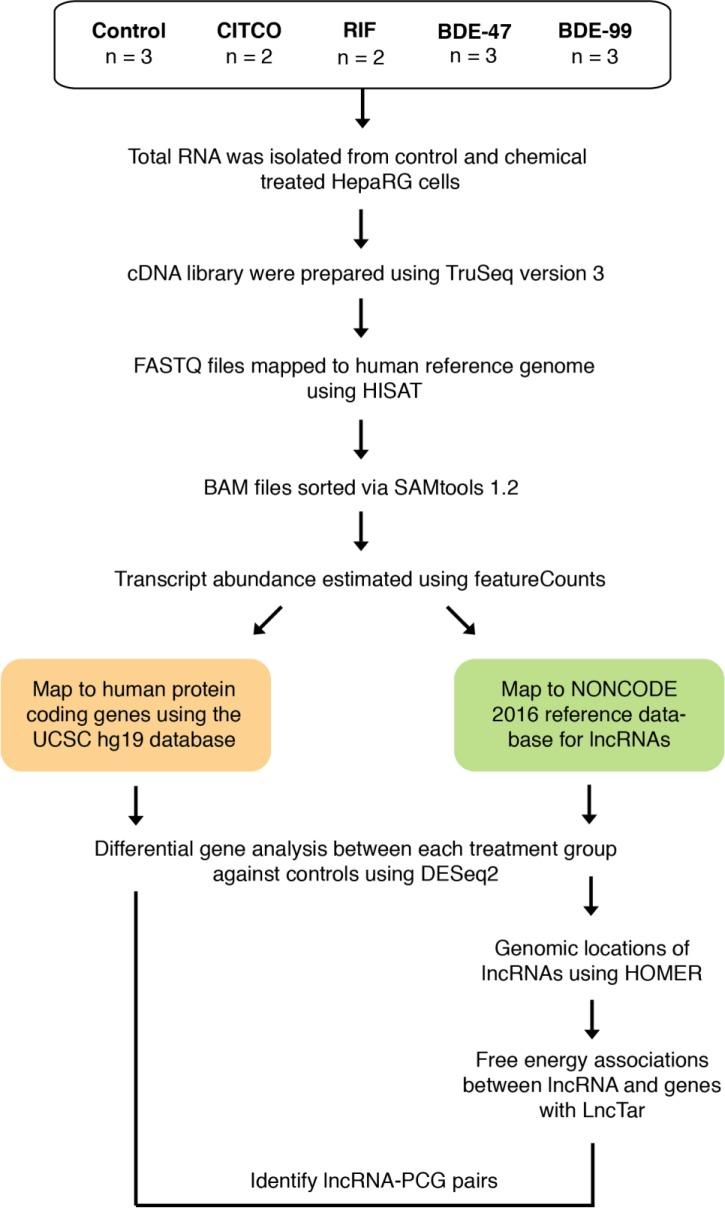 https://cdn.ncbi.nlm.nih.gov/pmc/blobs/c7a4/7043721/2862d8529998/pone.0224644.g001.jpg