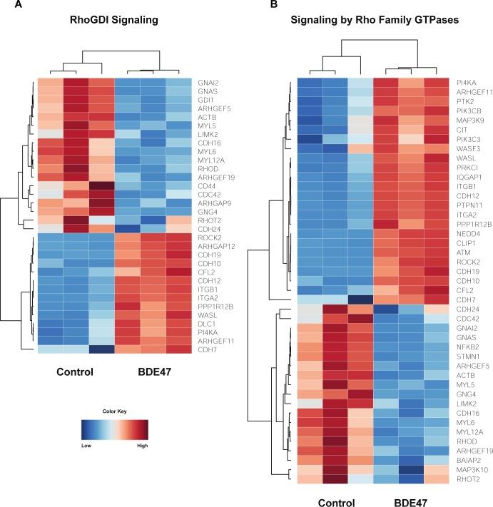 https://cdn.ncbi.nlm.nih.gov/pmc/blobs/c7a4/7043721/f223c7a7043e/pone.0224644.g007.jpg
