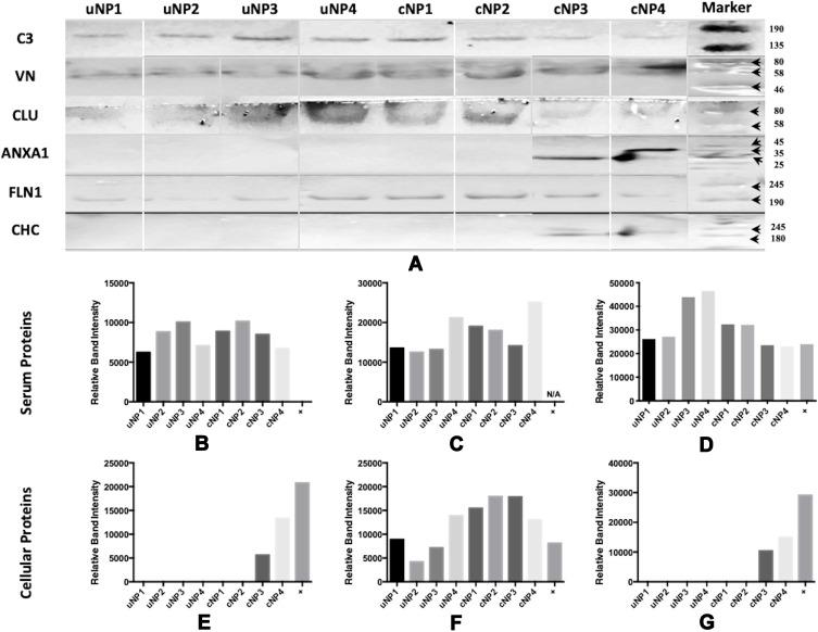https://cdn.ncbi.nlm.nih.gov/pmc/blobs/c7a4/7667594/6ded68effec9/IJN-15-8845-g0003.jpg