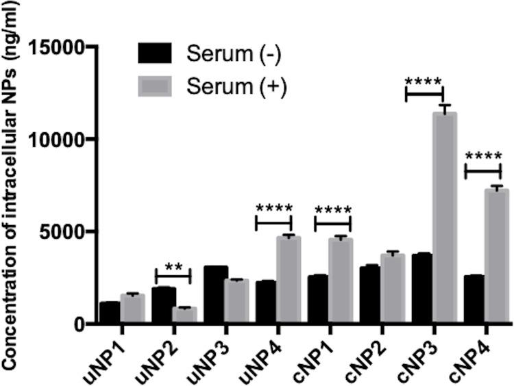 https://cdn.ncbi.nlm.nih.gov/pmc/blobs/c7a4/7667594/b20efc5370cc/IJN-15-8845-g0005.jpg