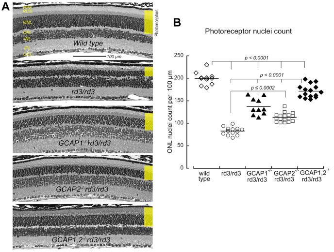 https://cdn.ncbi.nlm.nih.gov/pmc/blobs/c7a4/8047982/7ff5f9266bb9/gr2.jpg