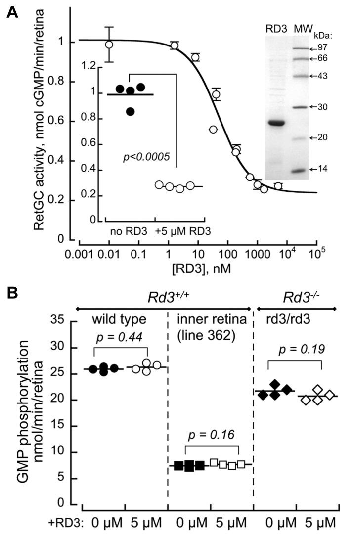 https://cdn.ncbi.nlm.nih.gov/pmc/blobs/c7a4/8047982/bb5eaddcac87/gr5.jpg