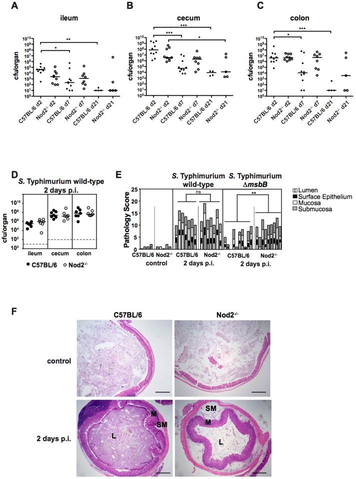 https://cdn.ncbi.nlm.nih.gov/pmc/blobs/c7a6/4244092/3e717b1e8a27/pone.0113645.g001.jpg