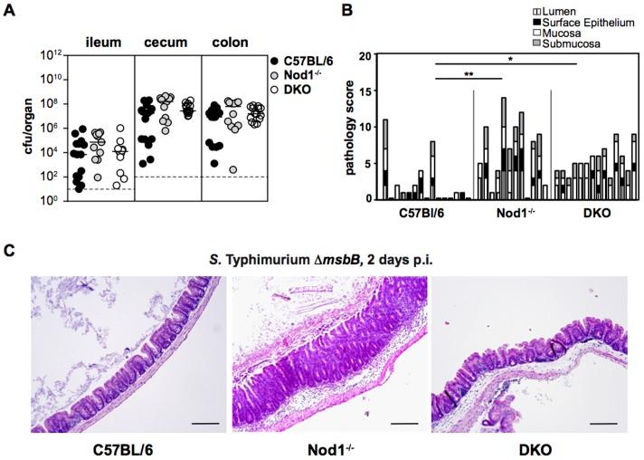 https://cdn.ncbi.nlm.nih.gov/pmc/blobs/c7a6/4244092/91416d76c29b/pone.0113645.g005.jpg
