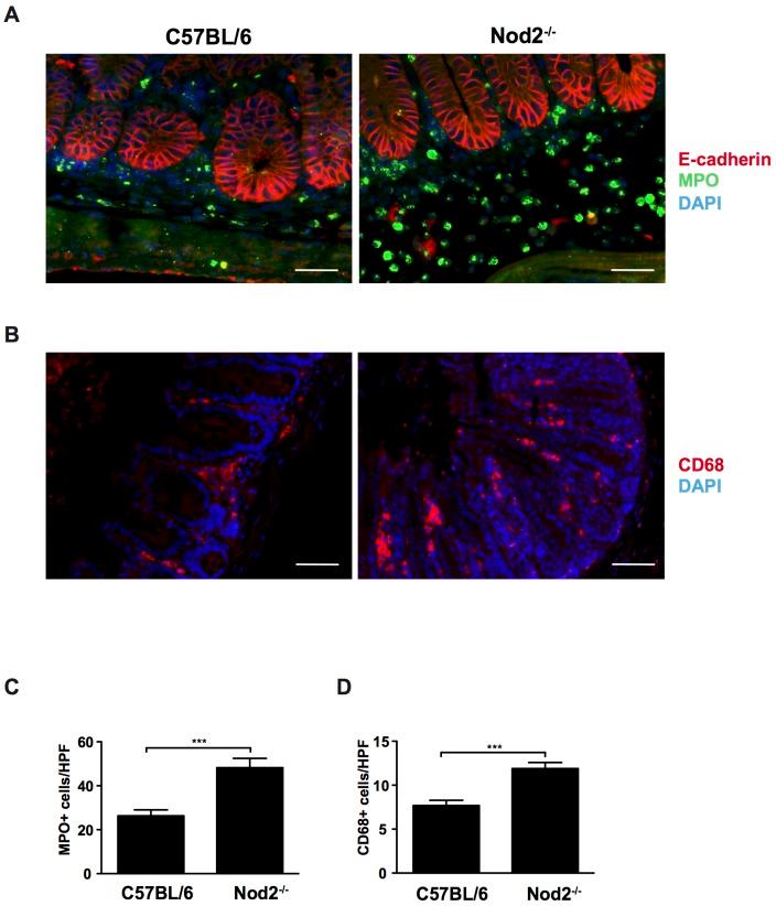 https://cdn.ncbi.nlm.nih.gov/pmc/blobs/c7a6/4244092/ffe0237be5ad/pone.0113645.g002.jpg
