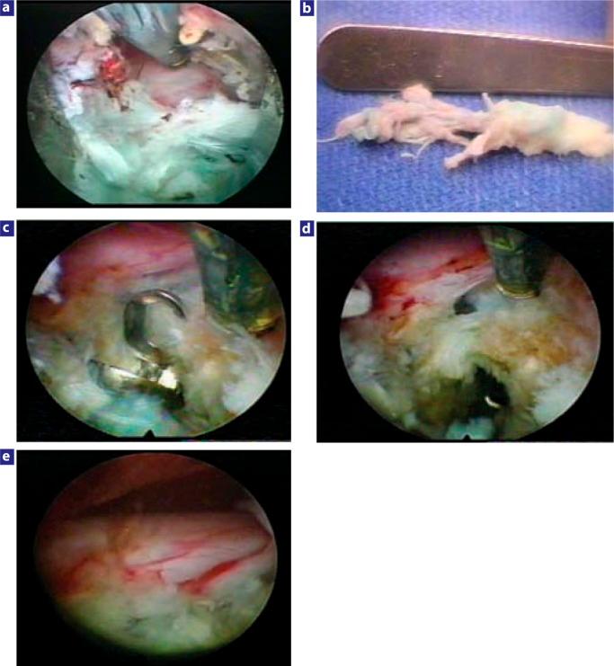 https://cdn.ncbi.nlm.nih.gov/pmc/blobs/c7a9/4365579/0ead7fb39d9f/SAS-1-2006-0014-RR-g003.jpg