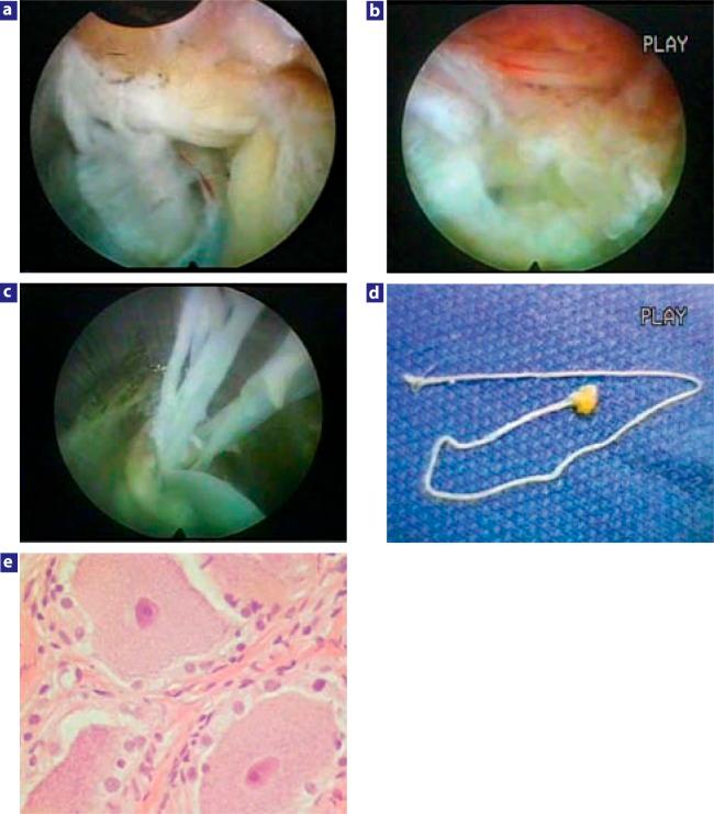 https://cdn.ncbi.nlm.nih.gov/pmc/blobs/c7a9/4365579/c9ce7968fe72/SAS-1-2006-0014-RR-g005.jpg
