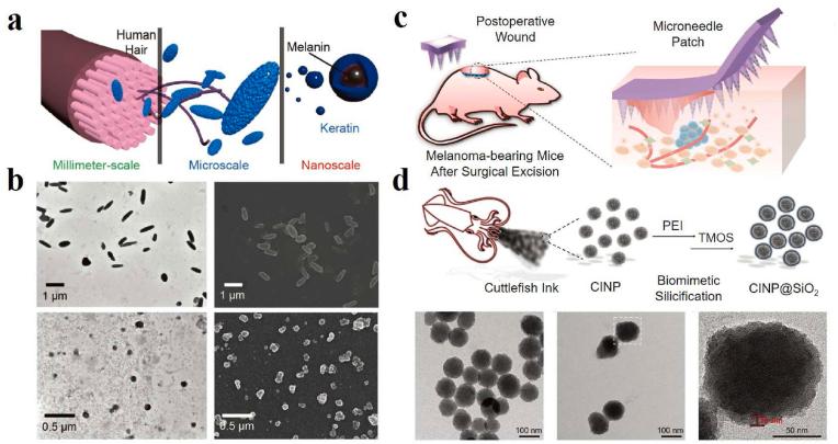 https://cdn.ncbi.nlm.nih.gov/pmc/blobs/c7aa/10755544/24ae2615a71e/gr2.jpg