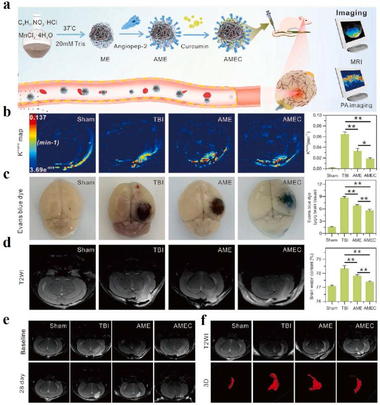 https://cdn.ncbi.nlm.nih.gov/pmc/blobs/c7aa/10755544/2c40e64c04d4/gr10.jpg