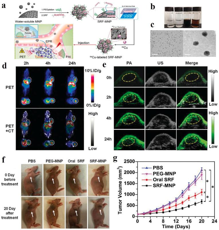 https://cdn.ncbi.nlm.nih.gov/pmc/blobs/c7aa/10755544/6e5b3b957268/gr11.jpg