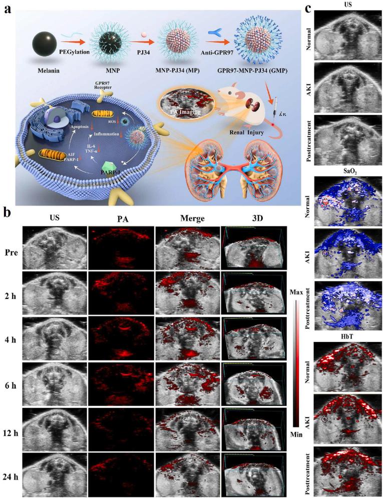 https://cdn.ncbi.nlm.nih.gov/pmc/blobs/c7aa/10755544/ad29473fccd1/gr5.jpg