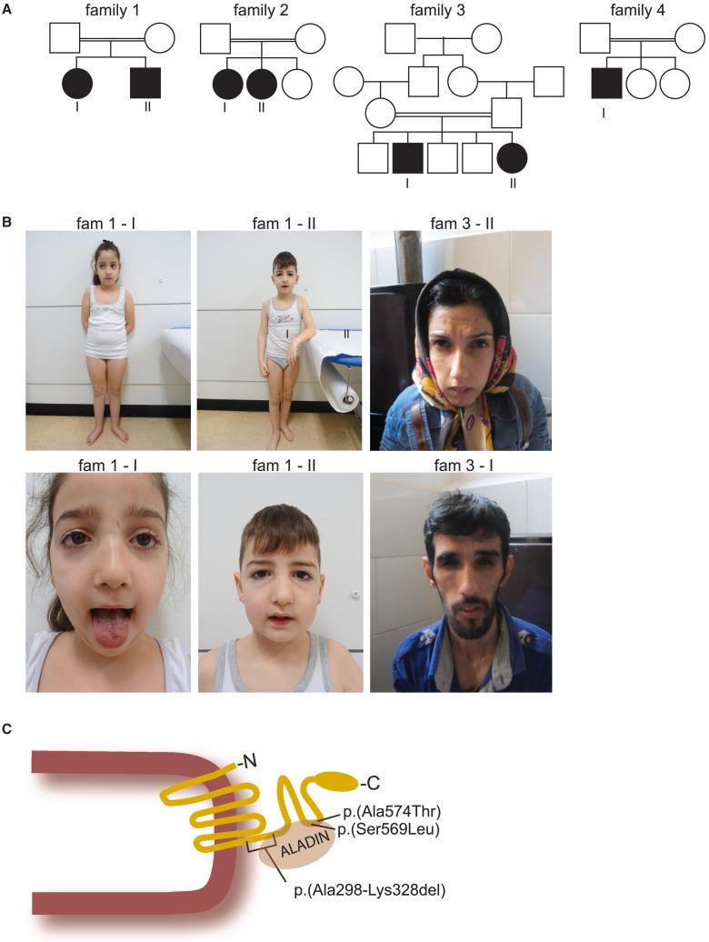 https://cdn.ncbi.nlm.nih.gov/pmc/blobs/c7aa/11375137/aa2f4816c606/gr1.jpg