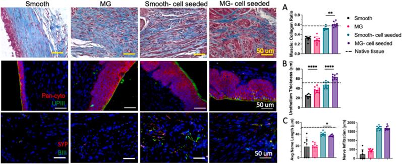 https://cdn.ncbi.nlm.nih.gov/pmc/blobs/c7ac/11380464/0a99d0233377/gr5.jpg