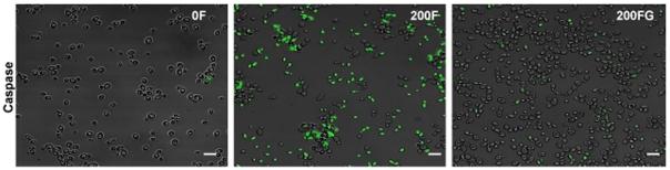 https://cdn.ncbi.nlm.nih.gov/pmc/blobs/c7b0/3242750/2c92452cbf67/pone.0028830.g006.jpg