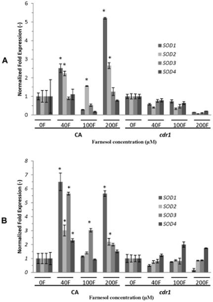 https://cdn.ncbi.nlm.nih.gov/pmc/blobs/c7b0/3242750/ec00698e447c/pone.0028830.g008.jpg