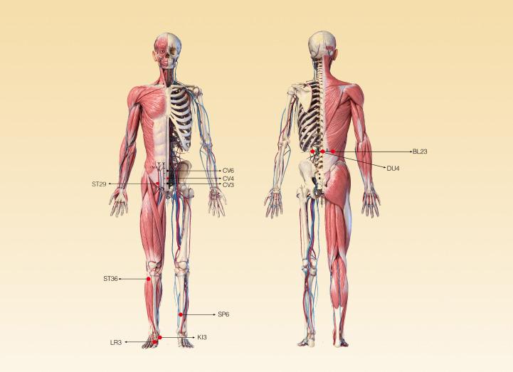 https://cdn.ncbi.nlm.nih.gov/pmc/blobs/c7b1/9624472/b6d21d0d2393/fendo-13-1009537-g002.jpg