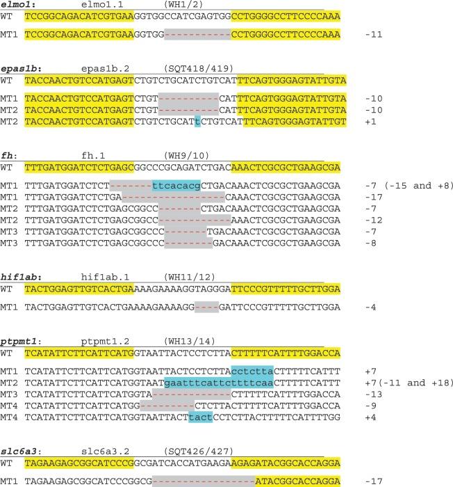 https://cdn.ncbi.nlm.nih.gov/pmc/blobs/c7b2/3439908/f9e4aa658e81/gks518f5.jpg