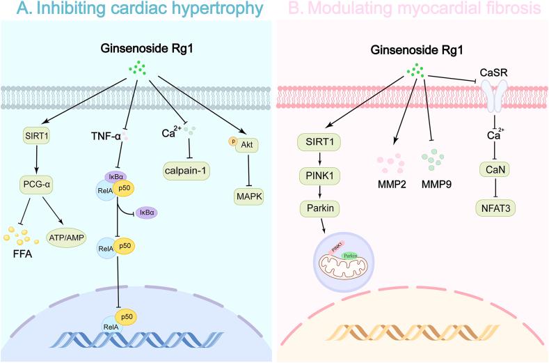 https://cdn.ncbi.nlm.nih.gov/pmc/blobs/c7b3/12125588/5ce0e2edb1eb/gr3.jpg
